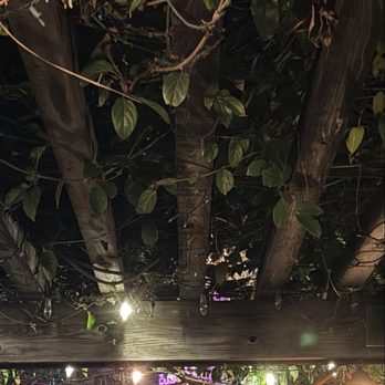 Jupiter - Music - Pizza Near Me - Berkeley, California