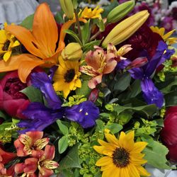 Hollywood Farmers Market