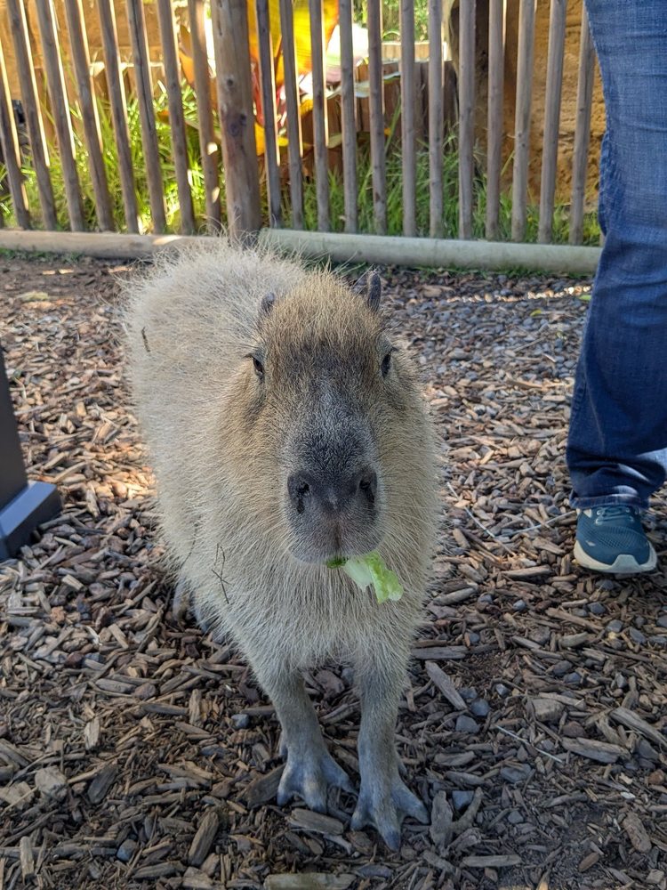 Wine Country Zoological 