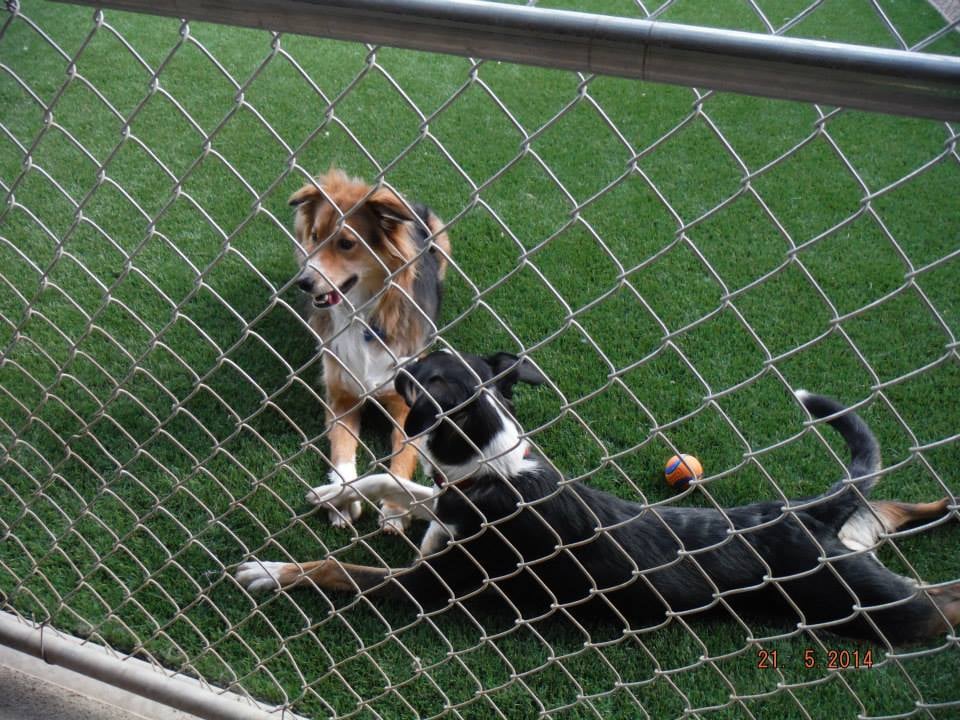 RED ROVER RESORT Updated August 2024 13 Photos & 10 Reviews 37700