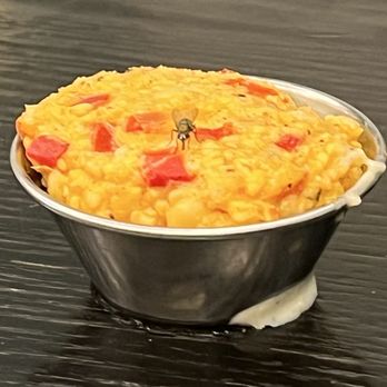 Henley - I gave up after a while and let them enjoy the crumbs and leftovers. - New American Near Me - Nashville, Tennessee
