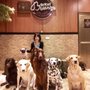 Photo of Barkin' Blends Dog Cafe