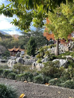 Chinese Garden of Friendship by null