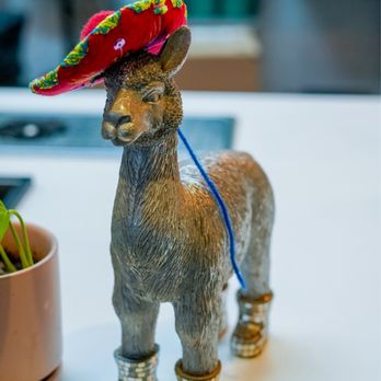 Pachamama Coffee - Llama - Coffee & Tea Near Me - Sacramento, California