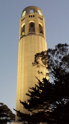 Coit Tower by null