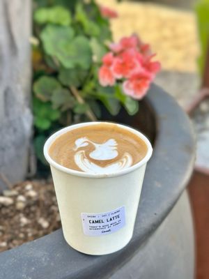 Handles Coffee by null