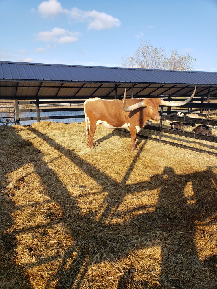 Slide of Aaron Services