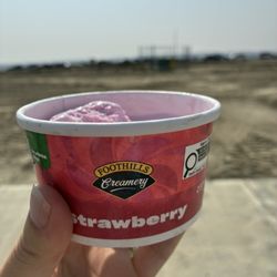 Foothills Creamery - Strawberry single serve