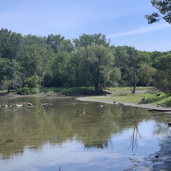Potowatami Woods - Hiking Near Me - Wheeling, Illinois