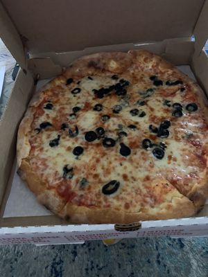Piccini Wood Fired Brick Oven Pizza by null