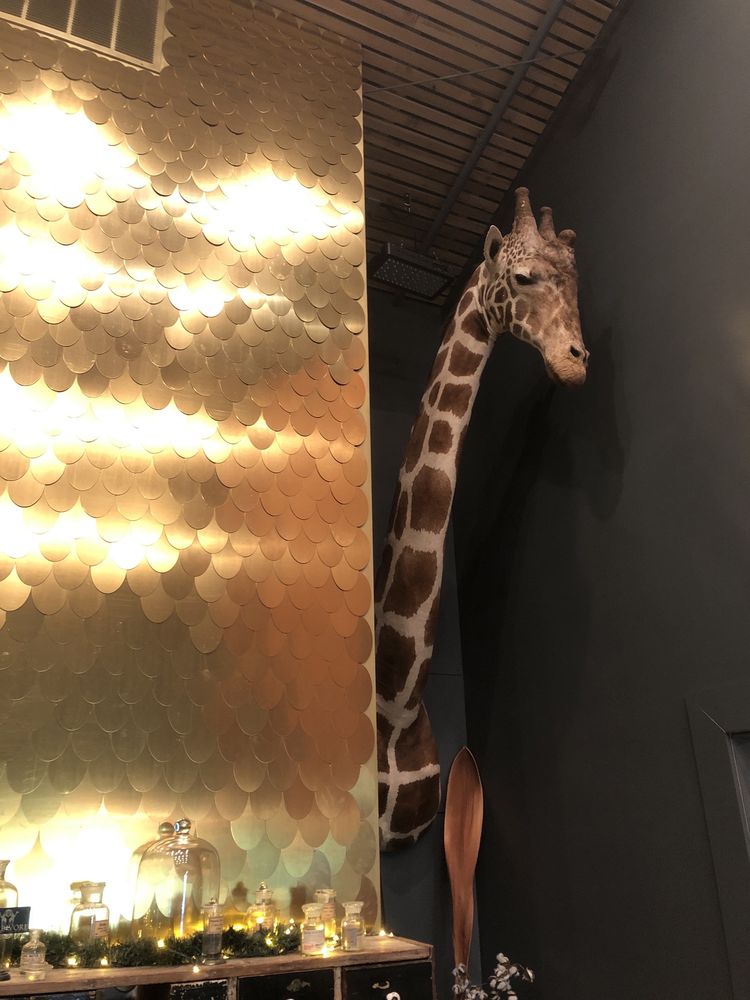 The Herbivore Cannabis Dispensary