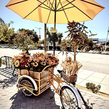 Maizz - Outside - Mexican Near Me - Redwood City, California