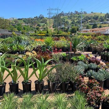 C & S Nursery - Home & Garden Near Me - Los Angeles, California C & S Nursery - Home & Garden Near Me - Los Angeles, California