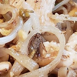 Literally found a bug in my food. Do not come here.