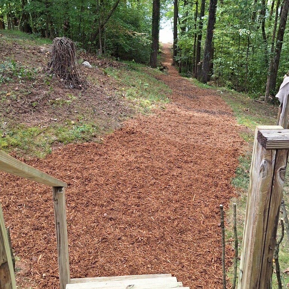 TreeMax Expert Tree Service LLC - Steps were rebuilt to the restored lake path - Tree Services Near Me - Gainesville, Georgia TreeMax Expert Tree Service LLC - Steps were rebuilt to the restored lake path - Tree Services Near Me - Gainesville, Georgia