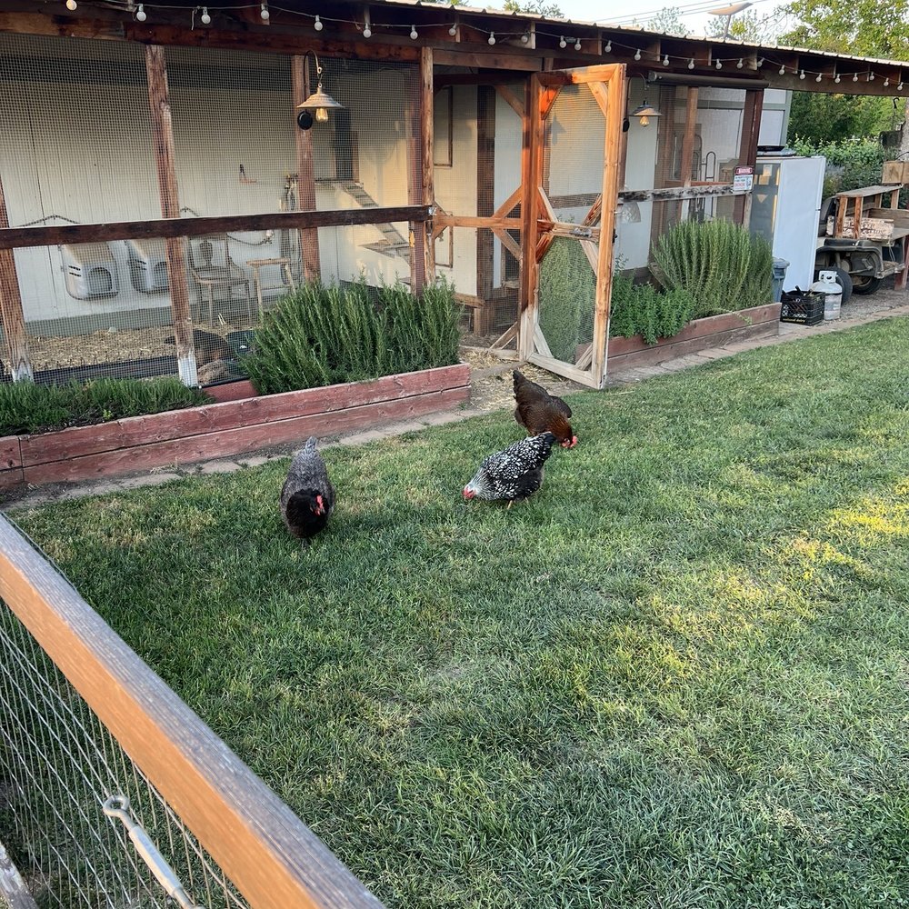 3 Oaks Vineyard - Wineries Near Me - Clovis, California