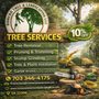 Romero Tree services & Landscaping