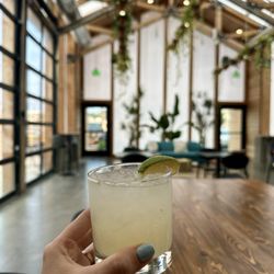 Kinship Landing - Mule