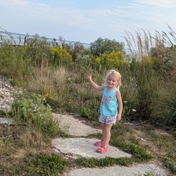 Lake Erie Metropark