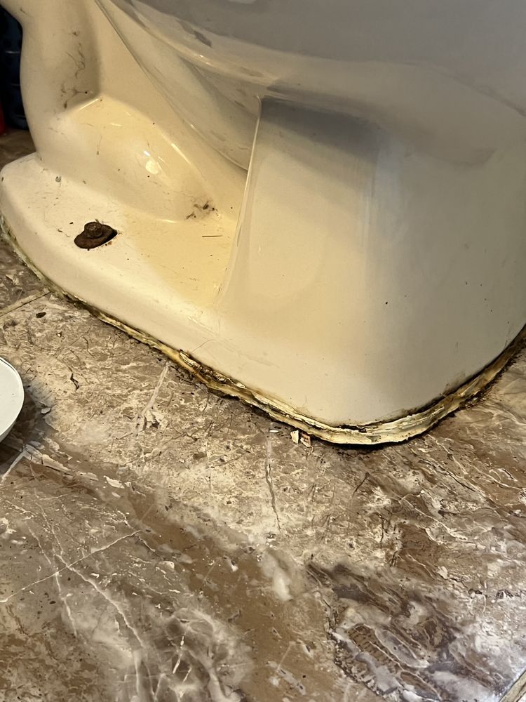 Slide of Professor plumber