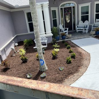 Fluorescent Lawn Care - Before - Lawn Services Near Me - Palm Bay, Florida Fluorescent Lawn Care - Before - Lawn Services Near Me - Palm Bay, Florida