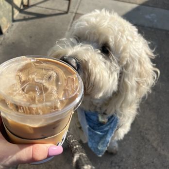 Made Coffee - spanish latte - Coffee & Tea Near Me - Fullerton, California Made Coffee - spanish latte - Coffee & Tea Near Me - Fullerton, California