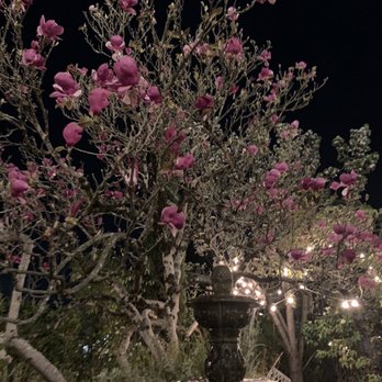 Ca'Bianca - Outside - Italian Near Me - Santa Rosa, California