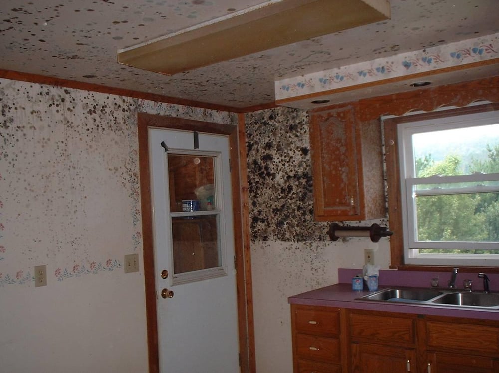 Anderson Restoration & Emergency Services - mold inspector in Jacksonville, FL