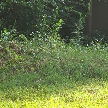 Unlimited Lawn Care - Lawn Services Near Me - Conyers, Georgia Unlimited Lawn Care - Lawn Services Near Me - Conyers, Georgia