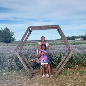 Araceli Farms - Attraction Farms Near Me - Dixon, California Araceli Farms - Attraction Farms Near Me - Dixon, California
