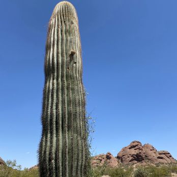 Papago Park Trails - Hiking Near Me - Phoenix, Arizona Papago Park Trails - Hiking Near Me - Phoenix, Arizona