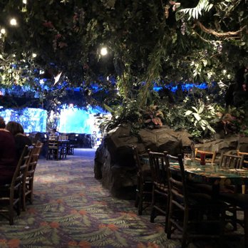 Rainforest Cafe - American Near Me - Sunrise, Florida Rainforest Cafe - American Near Me - Sunrise, Florida