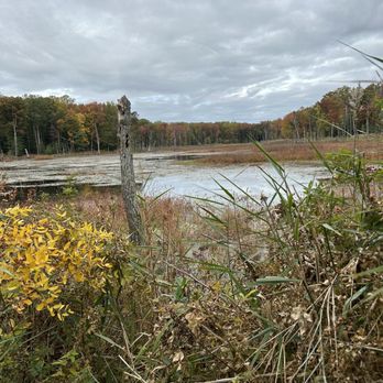 North Point State Park - Huge pond filled with wildlife - Parks Near Me - Edgemere, Maryland