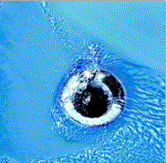 Slide of Waterford Hardware & Services