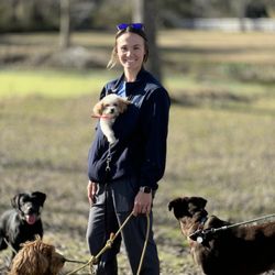 Y-Farms Kennels - Adventure Walks on the Farm