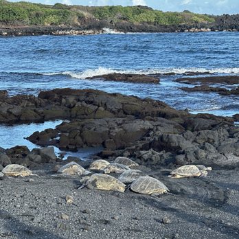 Punalu'u Black Sand Beach - Beaches Near Me - Pahala, Hawaii Punalu'u Black Sand Beach - Beaches Near Me - Pahala, Hawaii