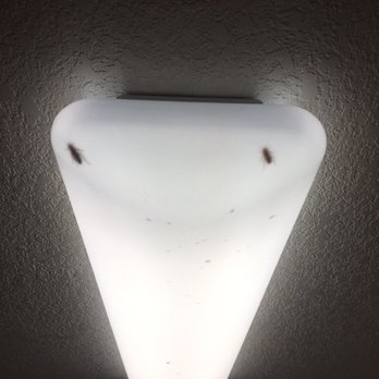 Arbor Pointe Apartments - Miserable - Apartments Near Me - Sacramento, California
