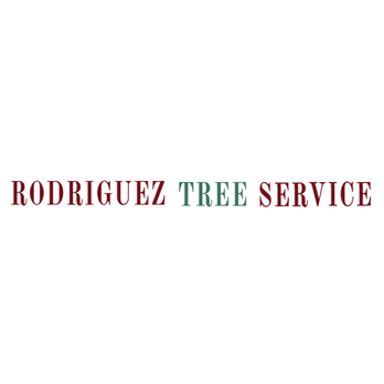Rodriguez Tree Service - Tree Services Near Me - Dallas, Texas Rodriguez Tree Service - Tree Services Near Me - Dallas, Texas