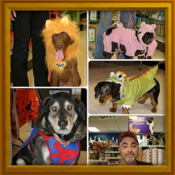 Healthy Pet Center - Pet Groomers Near Me - Delmar, New York Healthy Pet Center - Pet Groomers Near Me - Delmar, New York