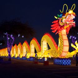 Lantern Light Festival - The main lantern... a giant dragon