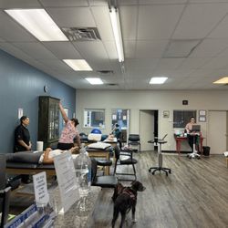 STAR Physical Therapy