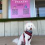 Photo of Le Pooche Pet Spa