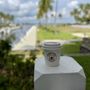 Seashell Coffee
