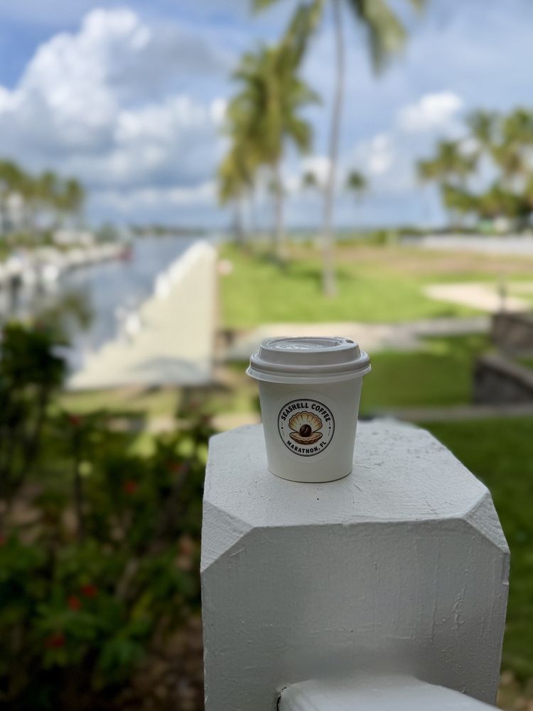 Seashell Coffee