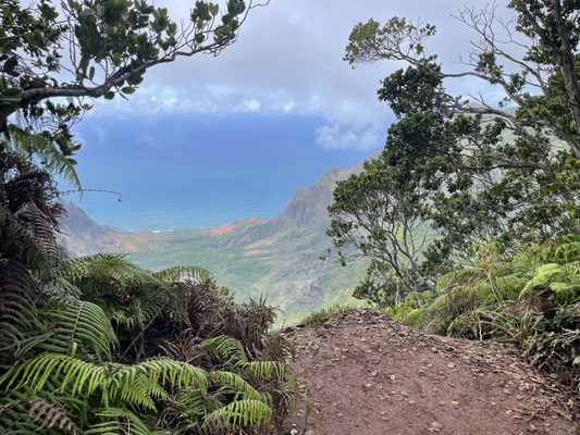 The West Inn Kauai by null