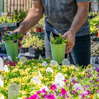 Moon Valley Nurseries - Tree Services Near Me - Chino, California