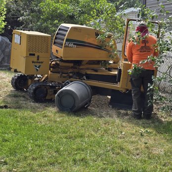 Ernesto's Tree Service - removing the stump - Tree Services Near Me - West Haven, Utah Ernesto's Tree Service - removing the stump - Tree Services Near Me - West Haven, Utah