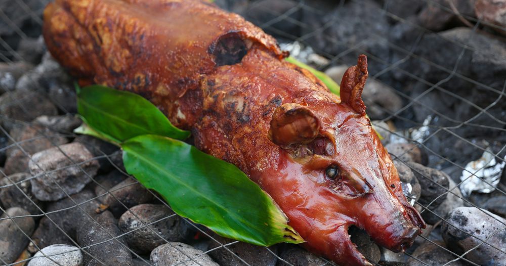 BIG KAHUNA LUAU Updated September 2024 320 Plaza Real, Boca Raton