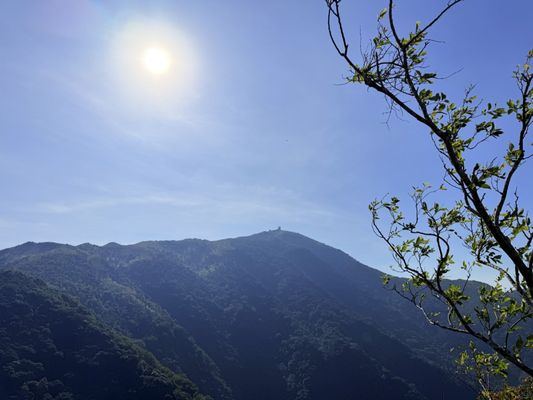 Kadoorie Farm and Botanic Garden by null