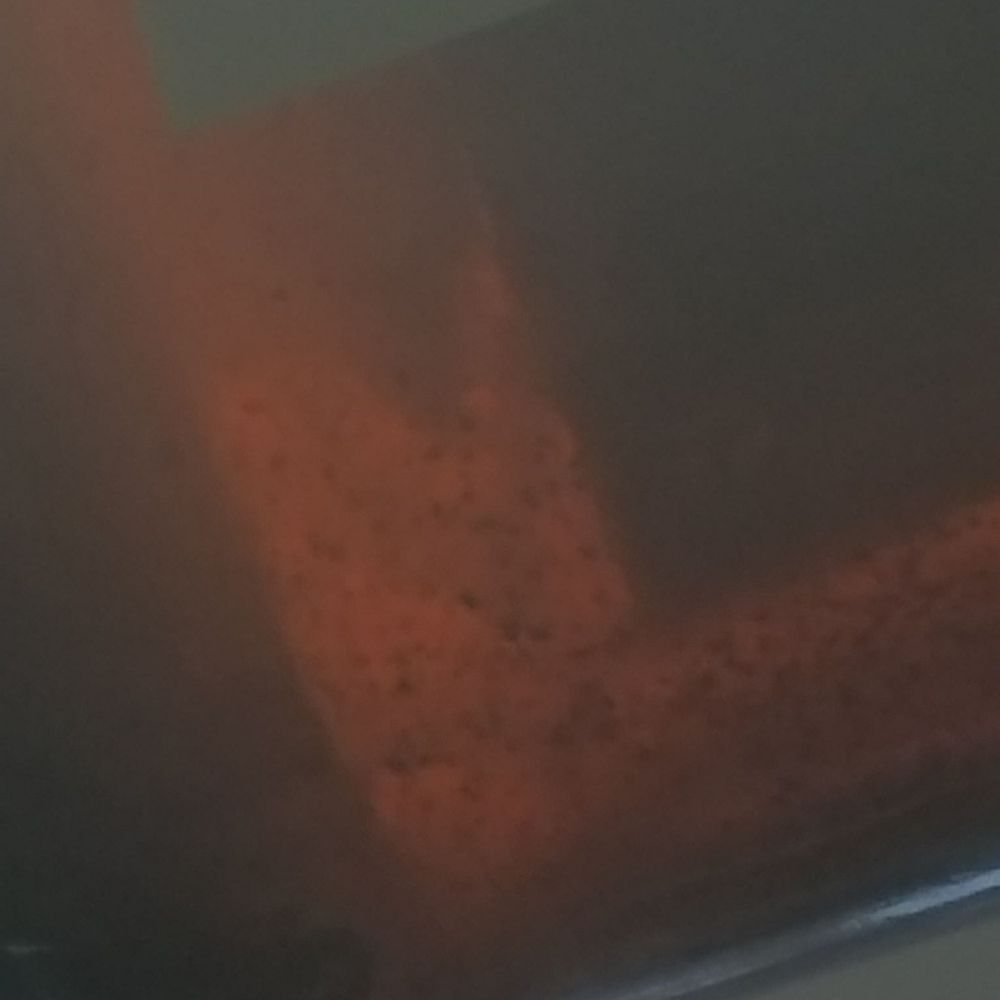 Floaters inside Ballast Point Beer #Nasty